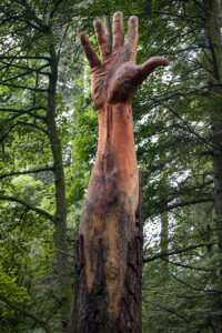 how to raise funds for a tree carving sculpture: projects like this which are in public places could be funded through crowd sourcing. Photo shows a giant hand carved into a dead tree trunk. it is surrounded by trees.