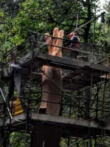 Picture shows scaffolding surround a tree stump. It is in the process of ebing carved into a giant hand by artist simon o'rourke. The piece is now known at the giant hand or vyrnwy