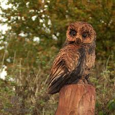 wooden sculpture of an owl on a tree trunk. The owl is part of Meadow Park woodland sculpture trail by simon o'rourke