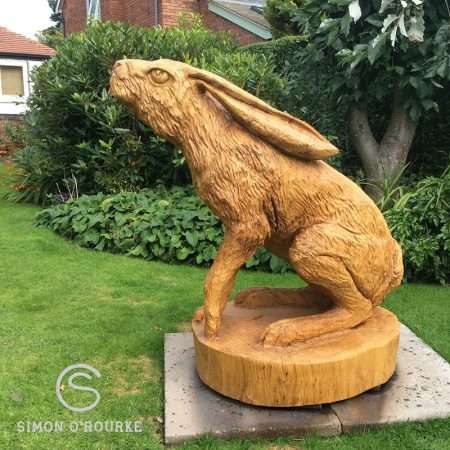 A hare