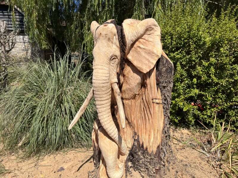 an elephant sculpture by simon o'rourke that demonstrates one of his tips for adapting your sculpture design when you discover surprises in the wood - incorporate the imperfection