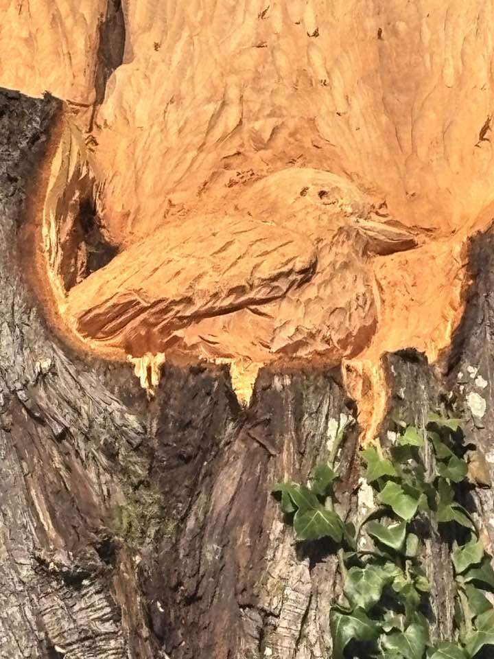 Bird wood carving