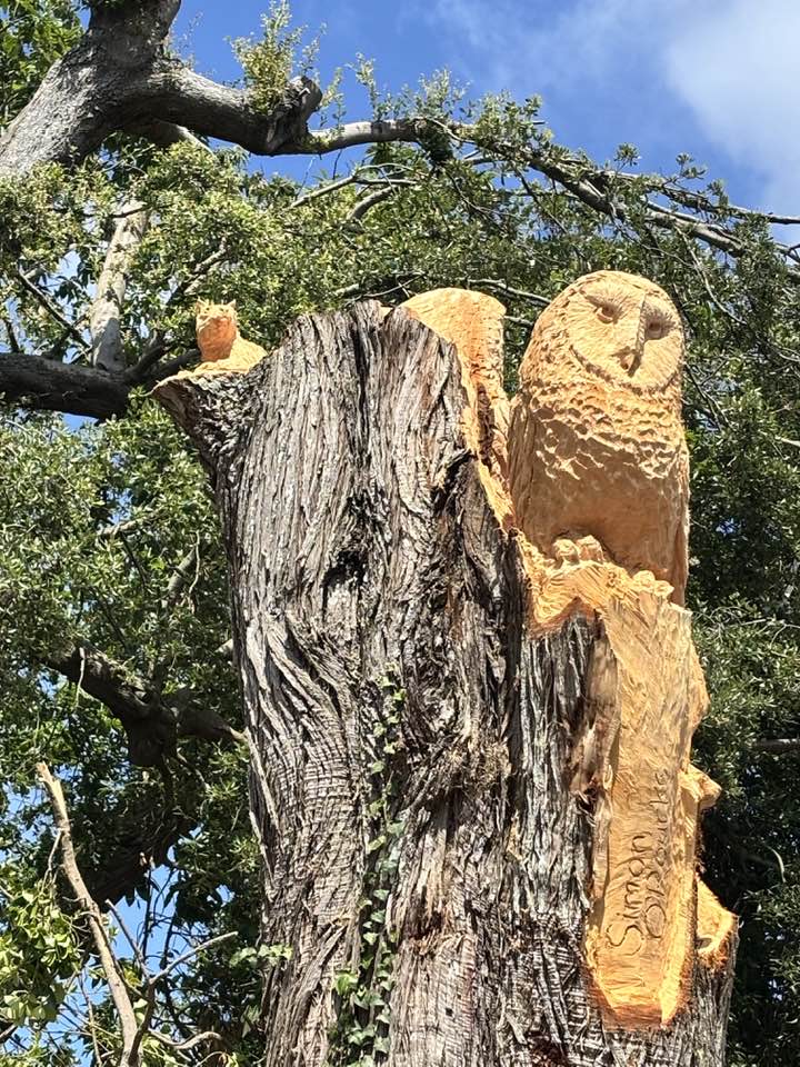 Owl wood carving